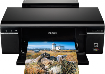 Máy in Epson Stylus Photo P50