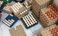 Cửa hàng Trứng Nhà Cô Lê – Hành trình khởi nghiệp từ những điều bình dị giữa lòng khu dân cư